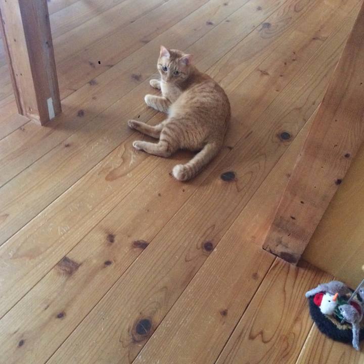 B3c3f7ac e7fa 418d 9776 837eb50ead7a 1508455309391