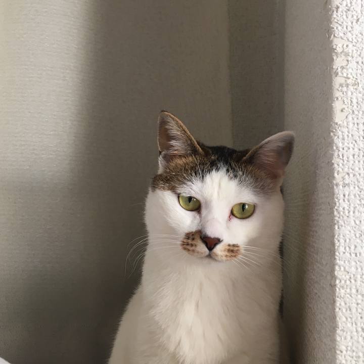 B3c3fa9a a988 41ec 9612 a77d5e7fd202 1522539088671