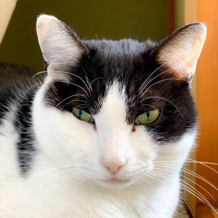 B3c402cd 917f 46c0 b8e4 2488d24242c6 1584756513503