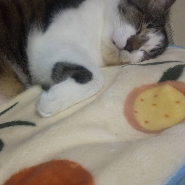 B3c40498 c14f 49a5 9620 c095d4f6d398 1721071702554