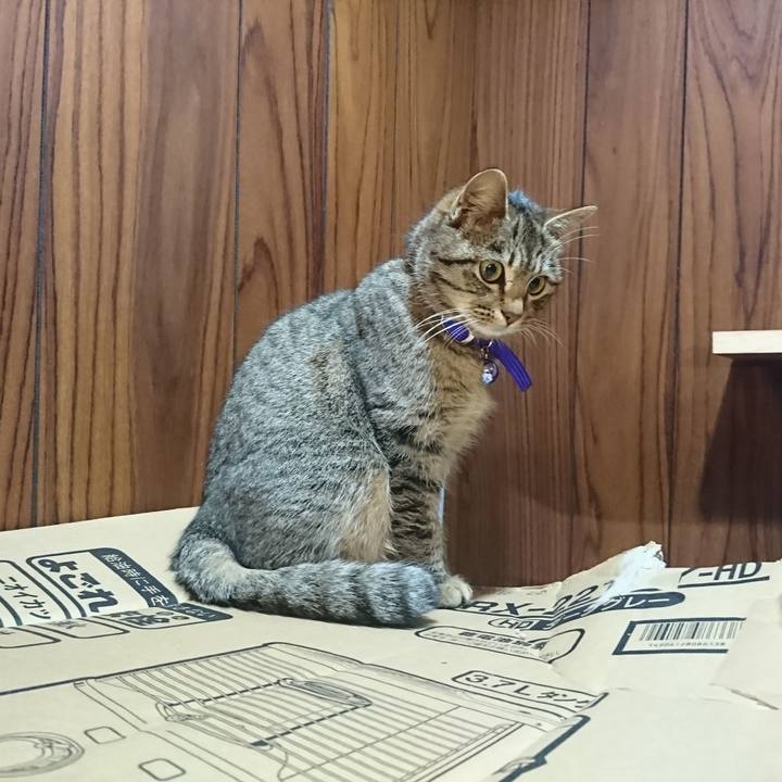 B3c42aa9 311a 4318 951c 138555dbf57e 1549903177226