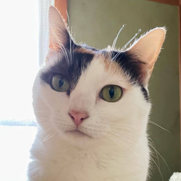 B3c49e9e 3cbf 43d1 ab54 d9e619c6f352 1638585415354