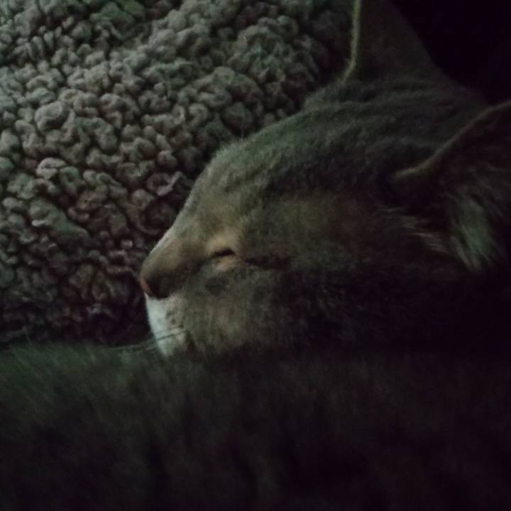 B3c4fd30 1bf7 4ffb a5c1 cd2ebc9826f6 1683503508185