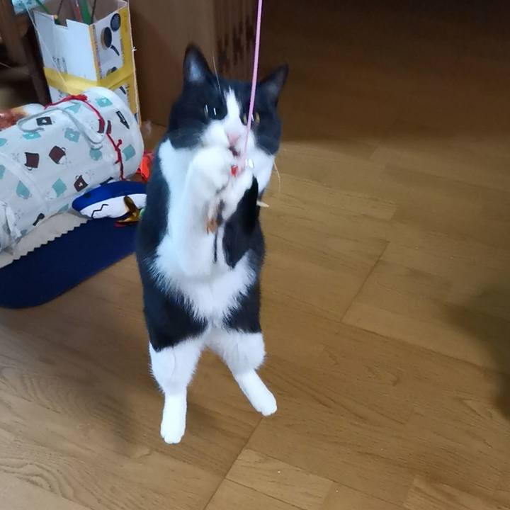 B3c518b8 e859 4172 b026 a1aadf0b38f0 1605192375765