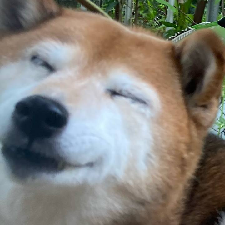 B3c52071 0608 4b54 9e64 8c30009ebda2 1680924954482