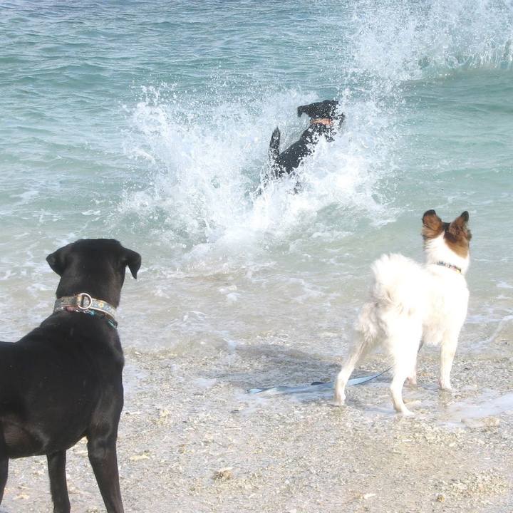 B3c531f7 663c 4ffa bba2 f8d34522cd8d 1693134585994