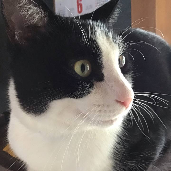 B3c54305 8942 4387 ac69 c0c236f23ee3 1687957350661