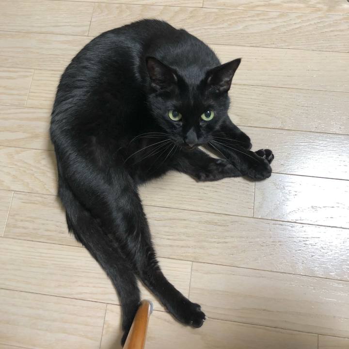 B3c55010 210b 432a b27c a199850ea181 1613567192796