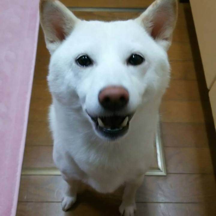 B3c574ce 3954 4432 95bb 60a620f56a73 1539429530263