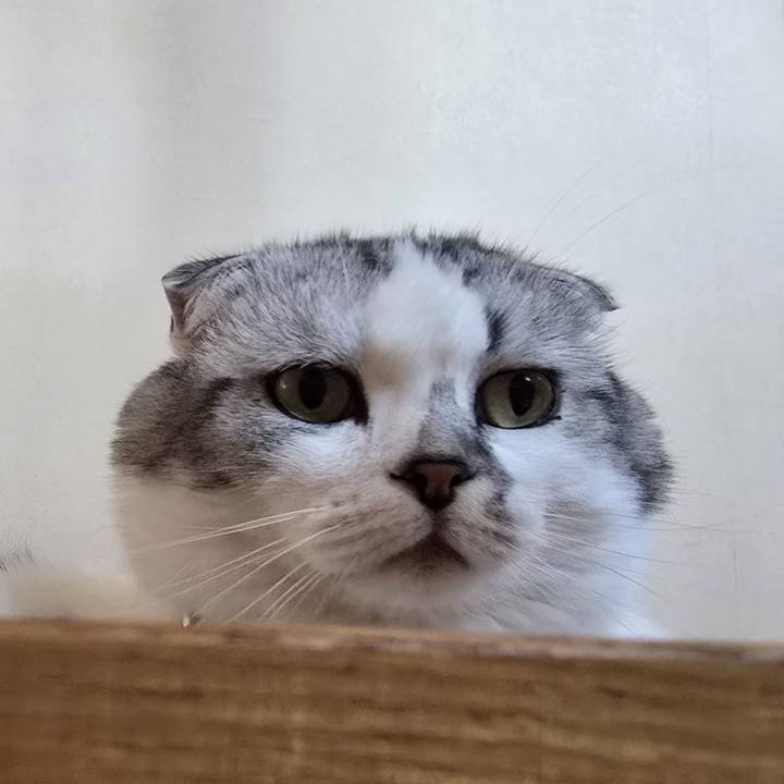 B3c576ca 45fa 461b ba88 5664c3319fcf 1749032684407