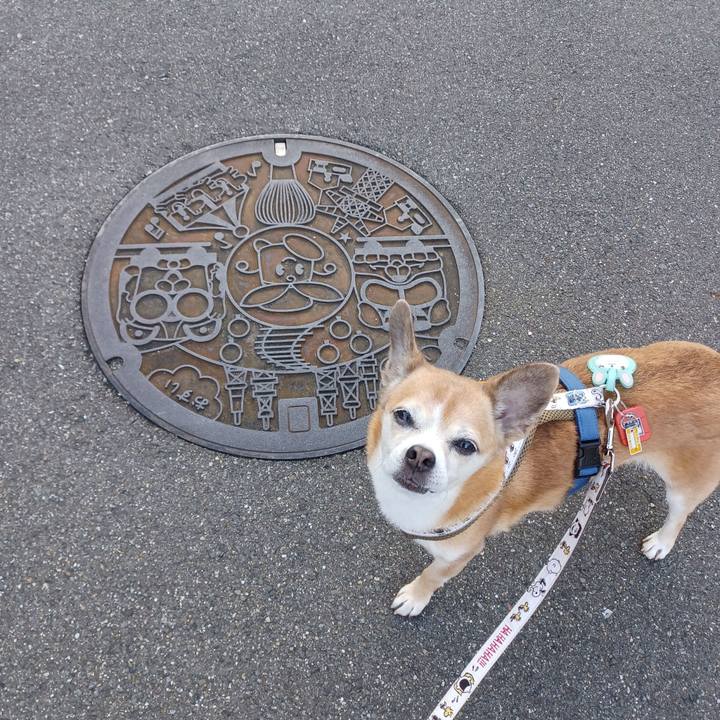 B3c59a76 26fd 418e 8631 06ae65fea18b 1753824453560