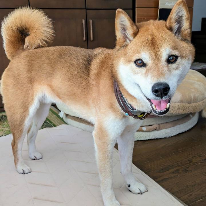 B3c5a620 3108 4f30 ba81 2326351babaf 1717561861358