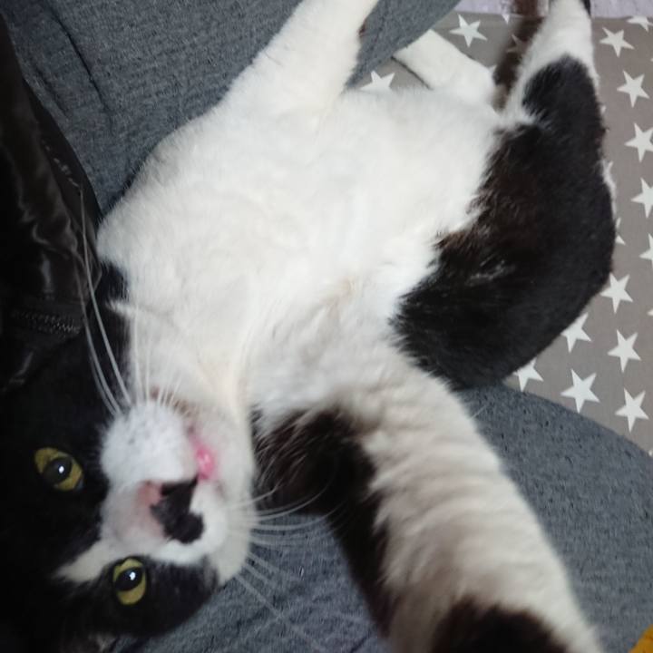 B3c5b759 867f 4b19 9b09 c11edbb259d5 1578477938321