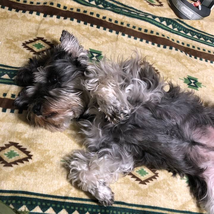 B3c5d12f a08c 4daf 9eac 11cead6a2625 1623073576230