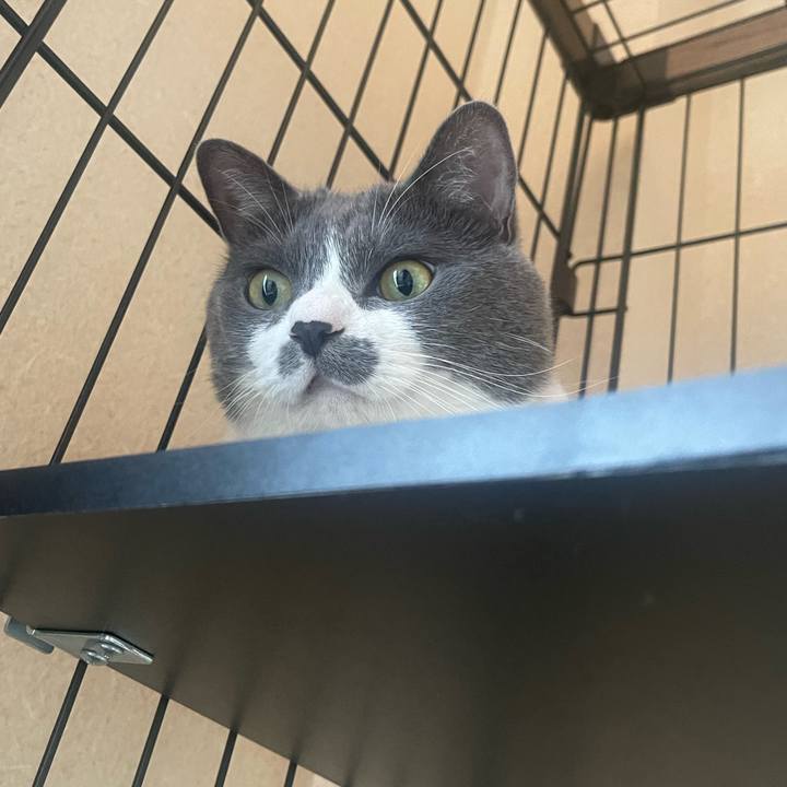 B3c62e1d 4327 4542 adeb d8f9eaa153c5 1723422504809