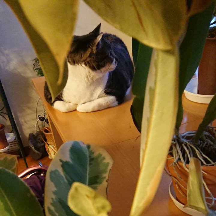 B3c69fbb 58db 41bb a5d9 5688e146c229 1552255416139