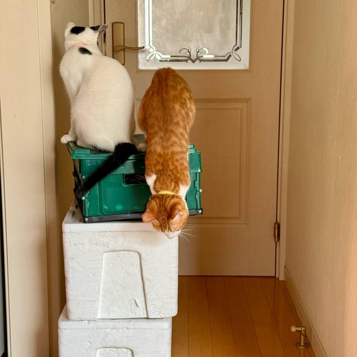 B3c6ad07 bea1 4bb9 a5f0 62041d3c21e4 1761023913178