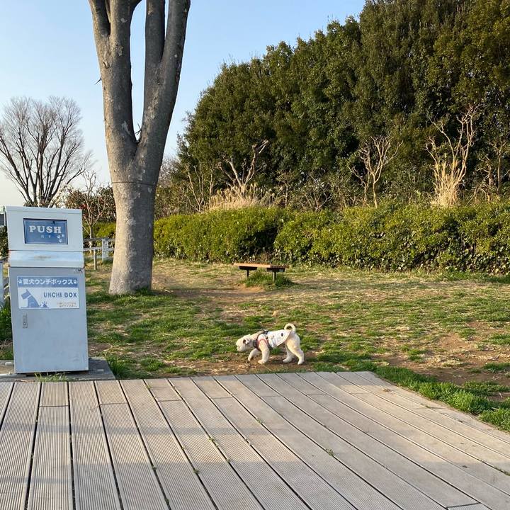 B3c6f25f 08da 4579 98b7 4f356f71cc59 1678538017444