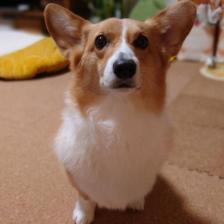 B3c70a90 6530 43dd a2d8 8bc9bafcbb35 1769945417307