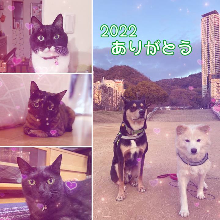 B3c7490c 6cc9 424c bbbe 3d962458270c 1672483797207