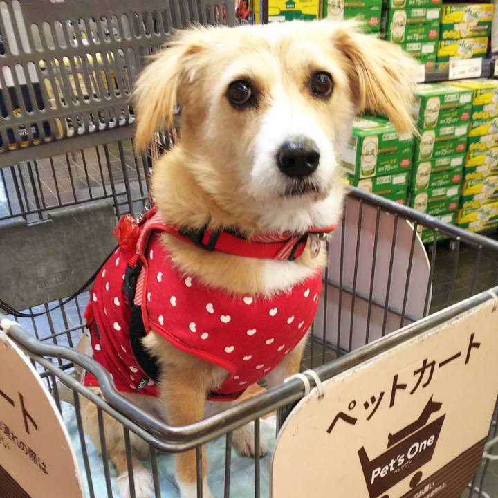 B3c75f48 c0b9 41e0 9601 b4078e8f8172 1544958256402