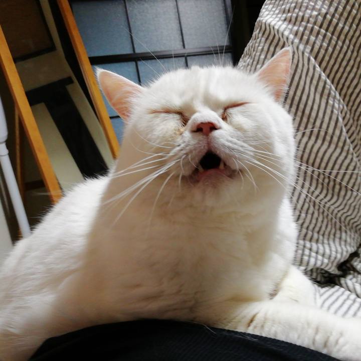 B3c77a0d f7ff 4ad5 8caa a2b194cfe43a 1658569129042