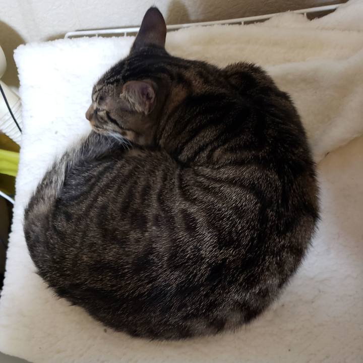 B3c77a3a ba20 4ddf 87be 0caa7f52498d 1546244875185