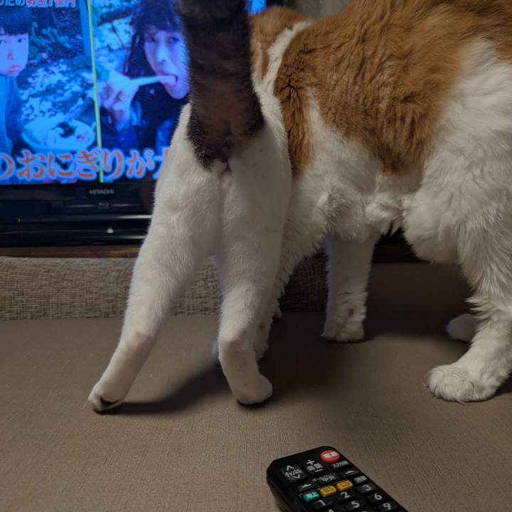 B3c789dc 9f1d 478e a7cc 65f500bec093 1756734048975