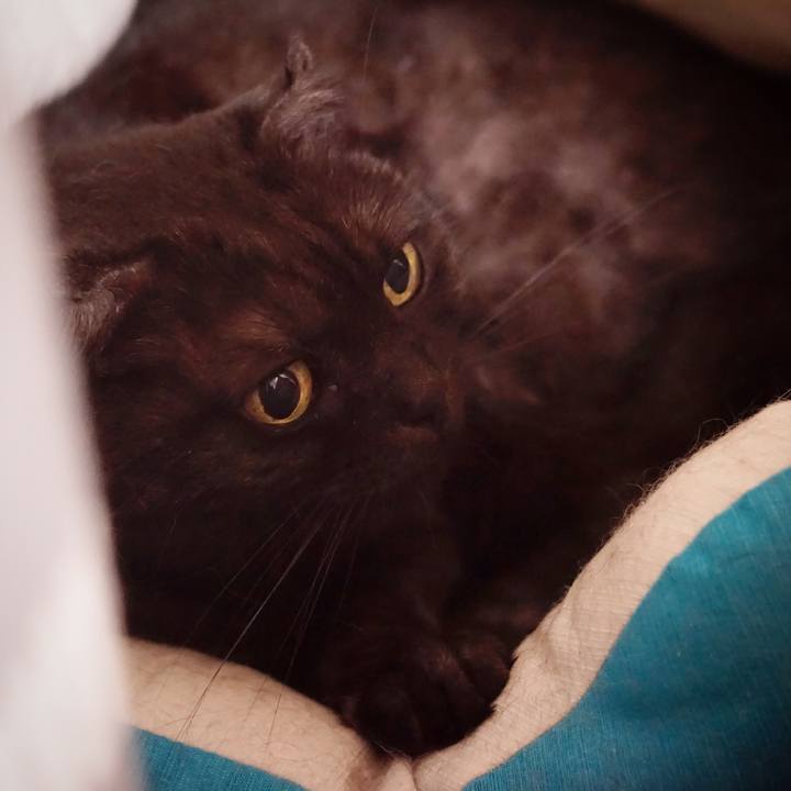 B3c7f008 2ad2 47f9 bbfb f9c4d75dda03 1563719298143