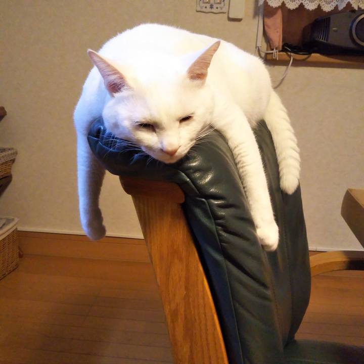 B3c800a5 c656 47ea a0e1 ef41e80c9670 1533560388020