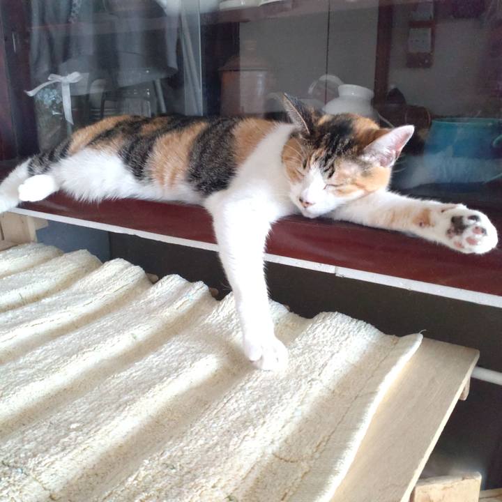 B3c846d7 4db6 497e abd2 7c147d12d28e 1666311789248