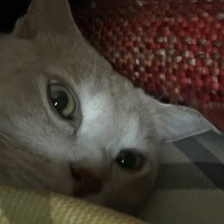 B3c857e1 9112 40e3 83fa 26c63d5e16d0 1582682802461