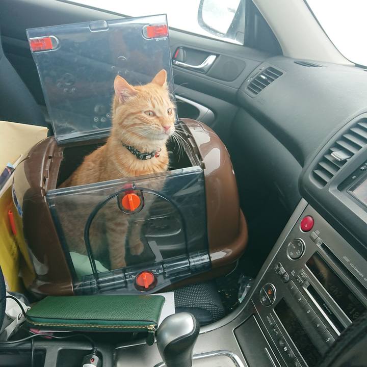 B3c86bdb fb9f 4c8e a350 d084156ec0ae 1643598482713