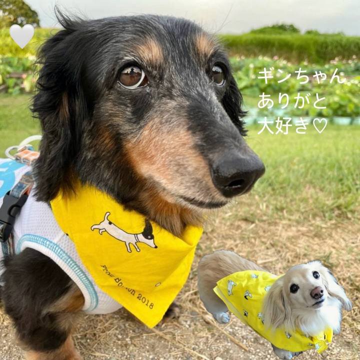 B3c88bbf 153c 4efa 8f8e f255ec411d18 1776491721416