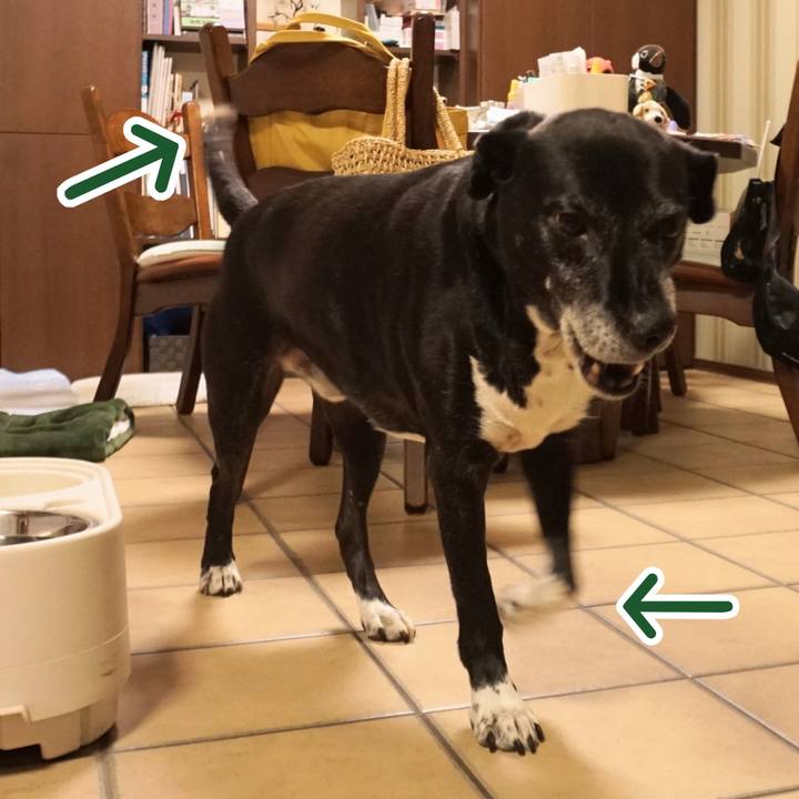 B3c8be01 3946 487e 8801 d81856e30853 1756811048004