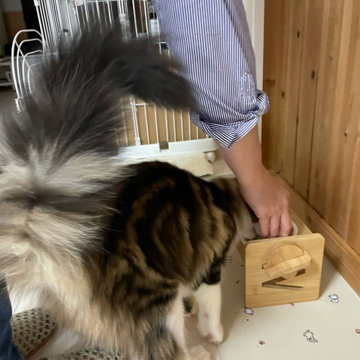 B3c8cc50 d885 4ee0 af5f ba3736f7480a 1637918573127