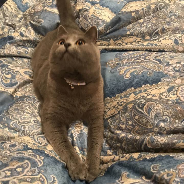 B3c90c4a ebc5 42fa adba 515a9a158ee4 1606799666898