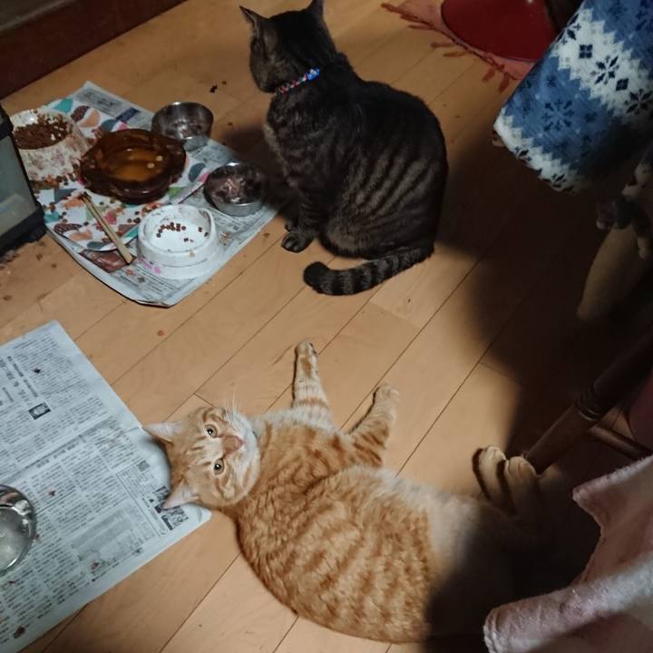 B3c91e28 9f21 47ee af2e 14b03660e148 1655468240810