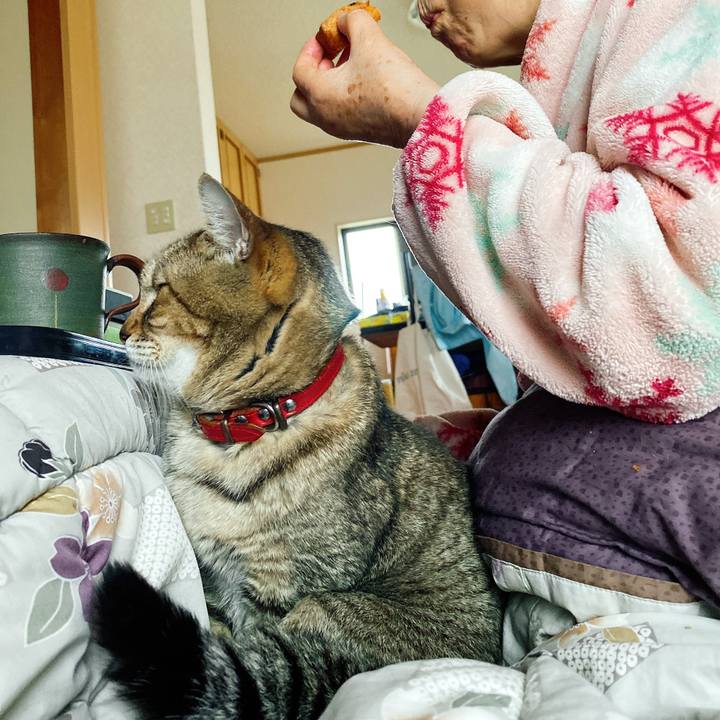 B3c92523 283e 41e4 a9da 083ad46a98d2 1593604071115