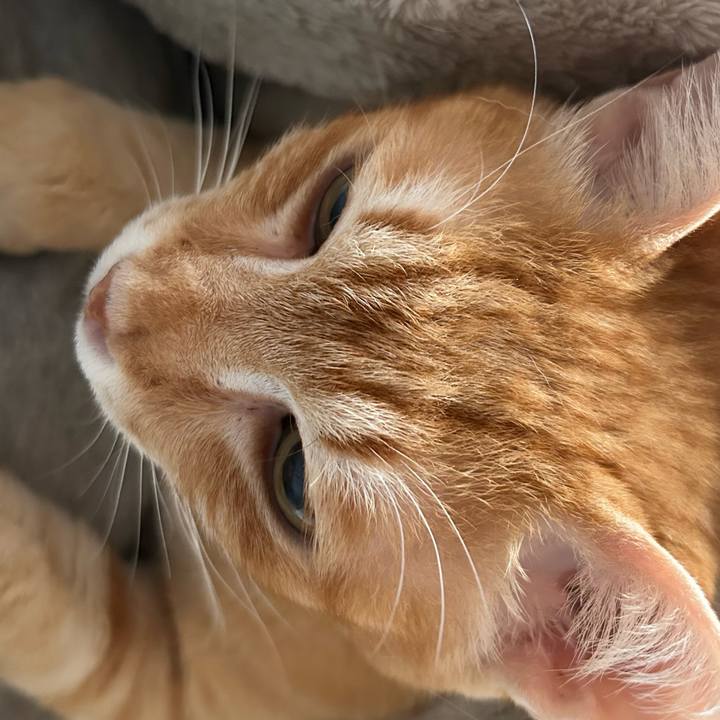 B3c932f5 8d22 43a2 8721 08f7dfabf7f7 1684788804067