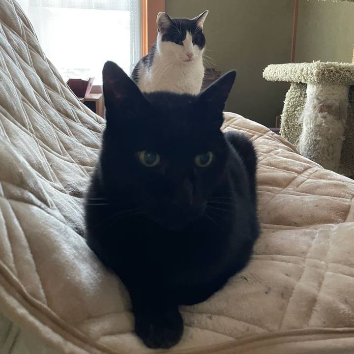 B3c946a6 957f 4ae8 94f6 d6d915847e3a 1639788538784