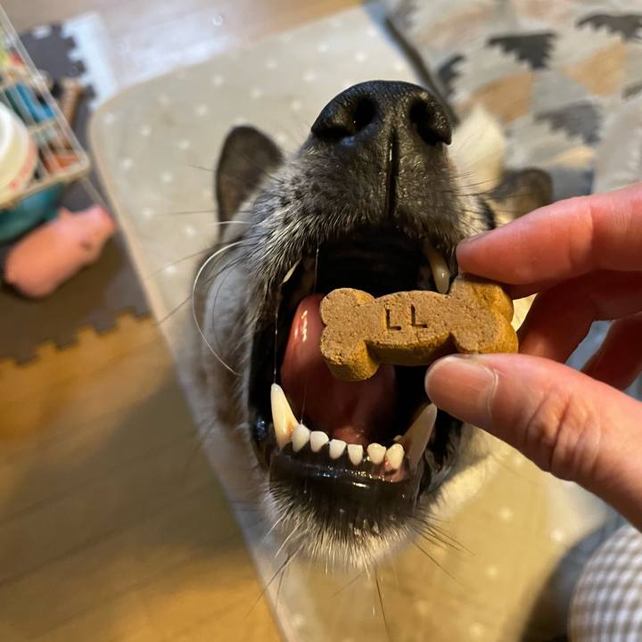 B3c952bb 427a 43cc aabf 87a7f9ea4d39 1685621530270