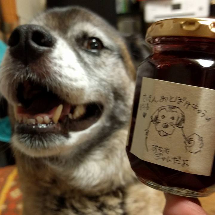 B3c97502 8a24 45b8 a067 567e32898169 1530104277000