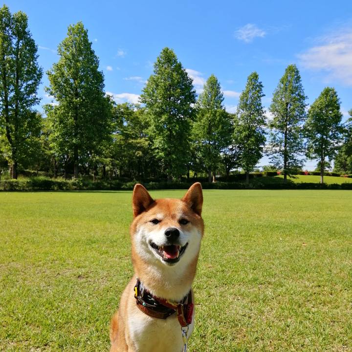 B3c99745 b396 43f9 96d4 4b6c41348e7b 1591921134063