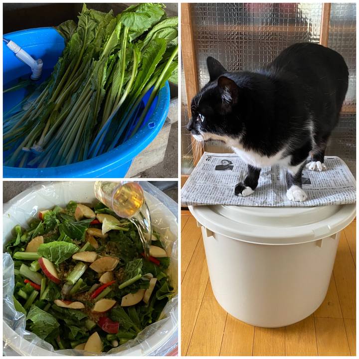 B3c9bd05 29fb 4e83 bf59 a824dc1a3a18 1669455672194