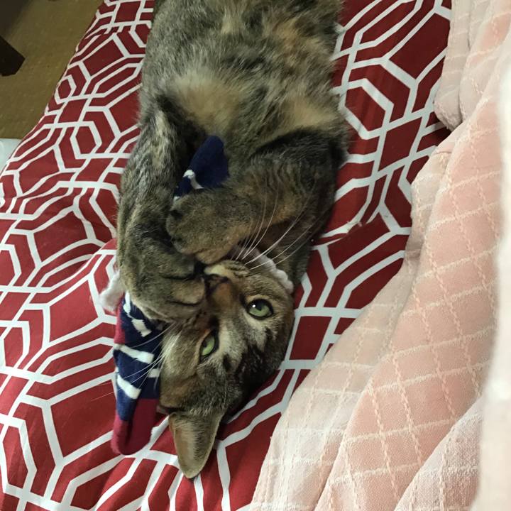 B3c9ee2b 4dd8 4c4b 9a21 d9cf11dc9695 1610857964302