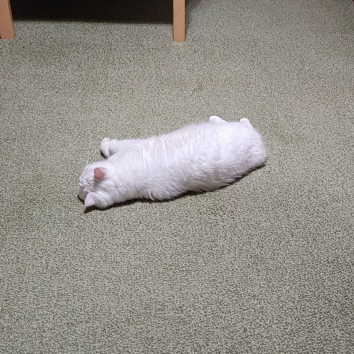 B3ca0689 9cf1 4c5e 9e3f 5783944a22f1 1693130945664