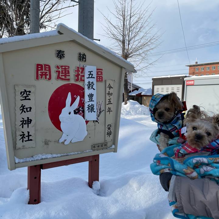 B3ca11a1 bdf9 4b24 9049 1e6b69f928d0 1672564911157