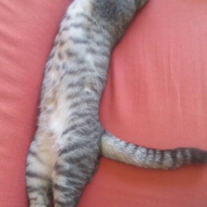 B3ca2054 8fa2 4e46 ba29 940adb370ac6 1523847912330