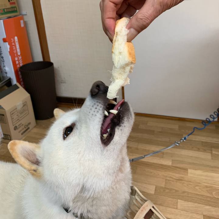 B3cad92f 57fb 4cd7 afd6 5a8e7c225293 1556269444299